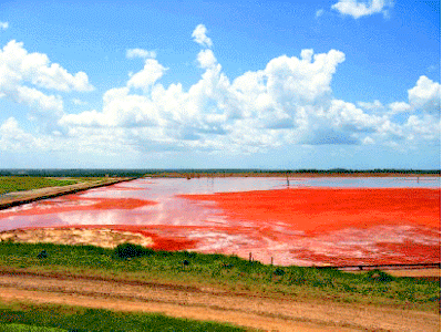 Alumar emite nota e garante que as lagoas de lama vermelha não oferecem riscos em São Luís