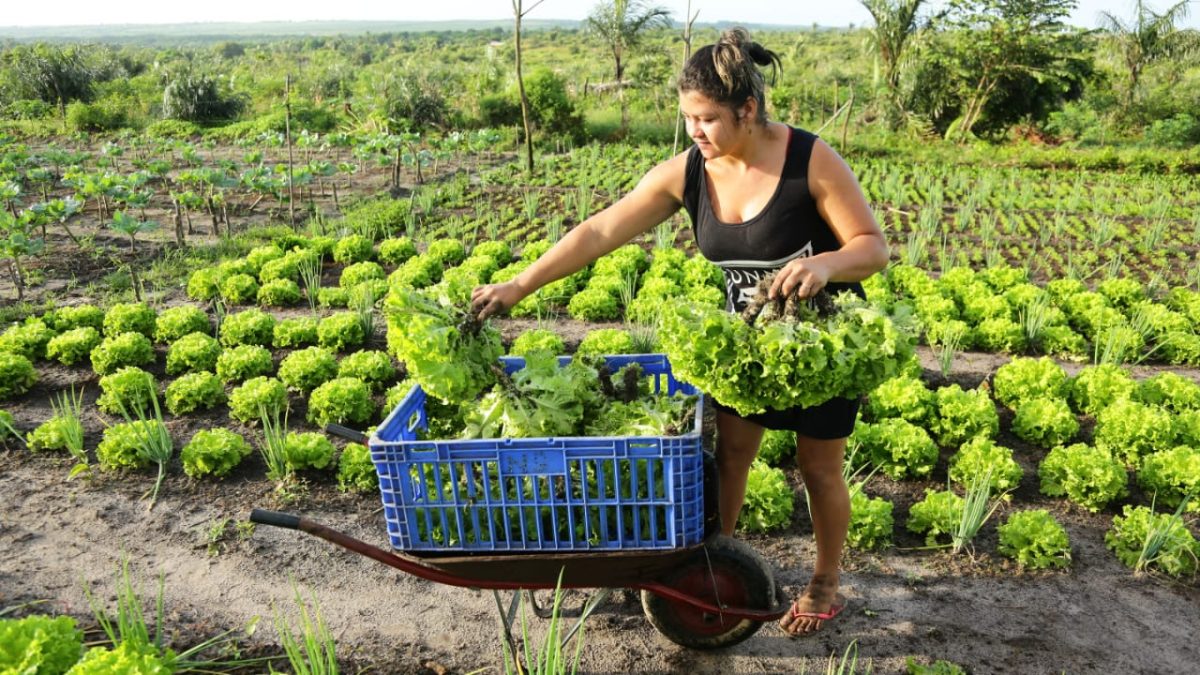 ODS  Assessoria ODS da UEMA Marca Presença na 1ª Feira Maranhense da  Agricultura Familiar (FEMAF)