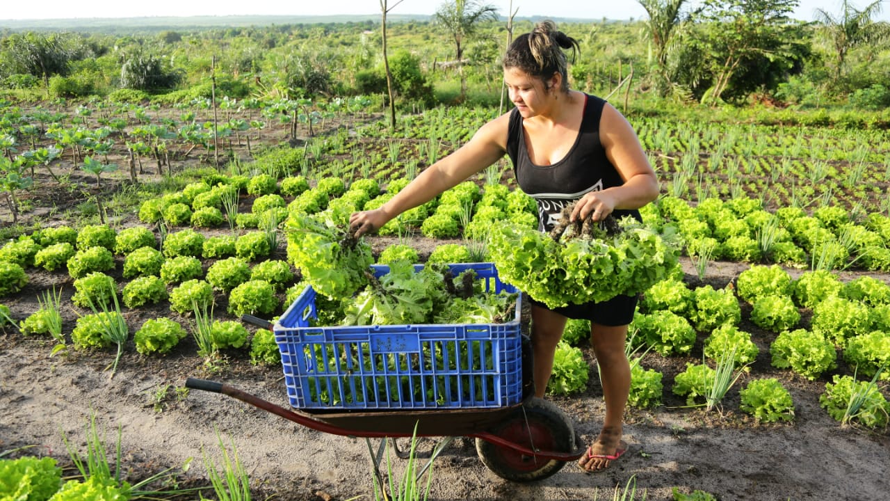 Abertura da 1ª Feira Maranhense da Agricultura Familiar impulsiona a  valorização dos produtos locais